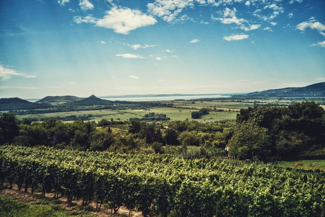 A view of Lake Balaton